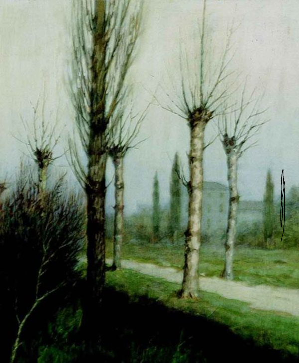 Strada di campagna