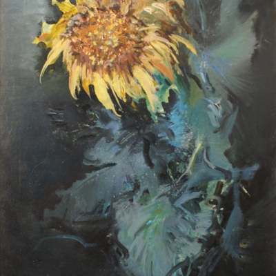 Girasoli