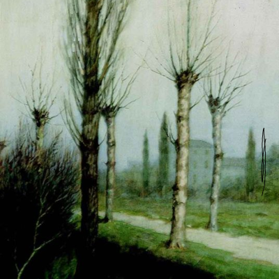 Strada di campagna