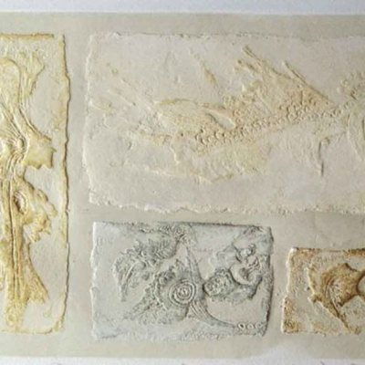 Fossili delle Antille